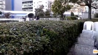 大阪钢巴双飞粉发澳洲海归